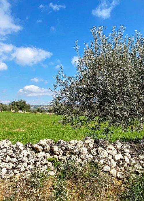 IN GIRO PER SICILIA